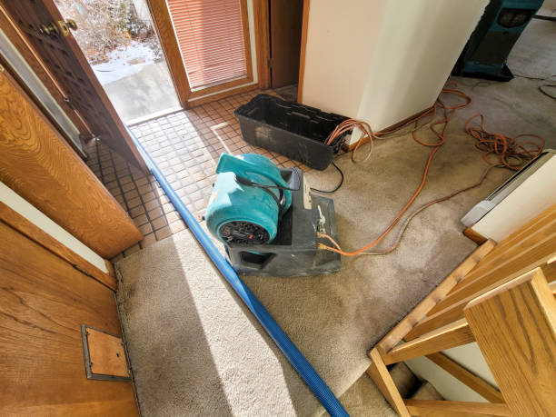 Trusted Morongo Valley, CA Water damage restoration Experts